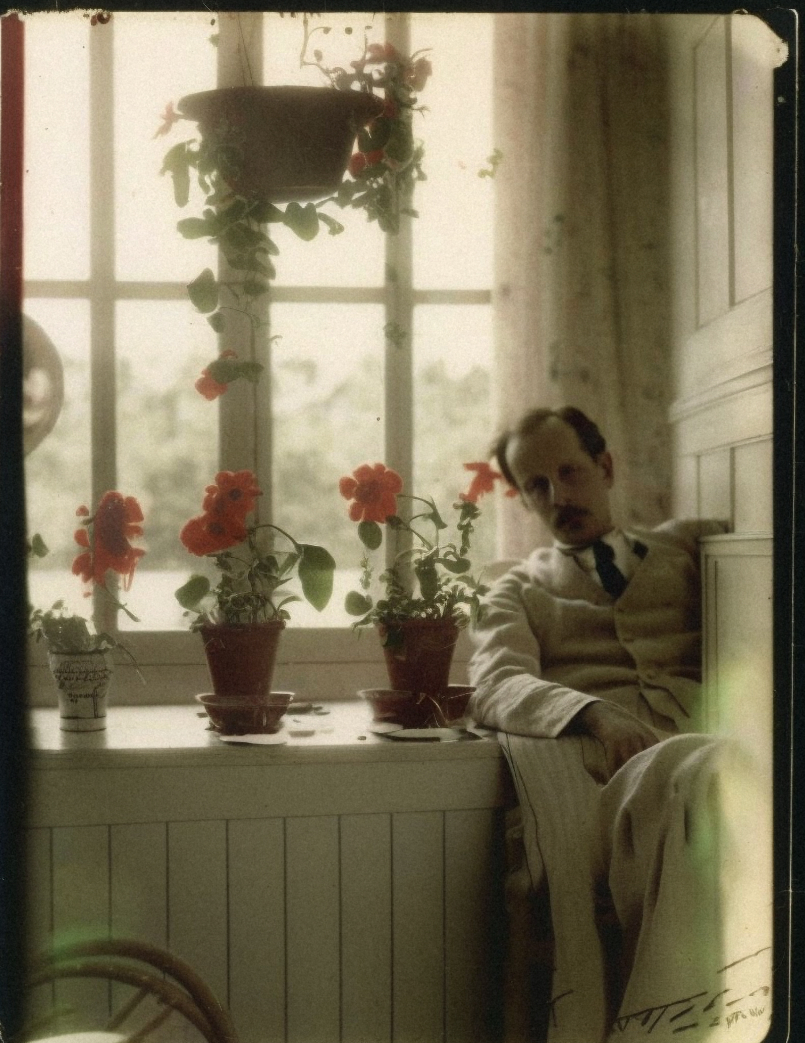 Anenome, Autochrome, 1907