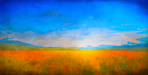 A New Hampshire Field