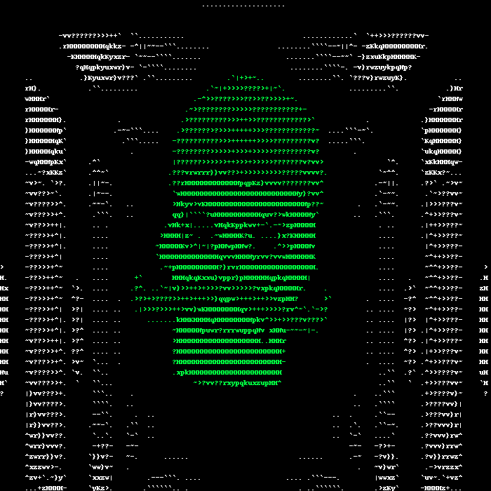 AAA SKULL #81