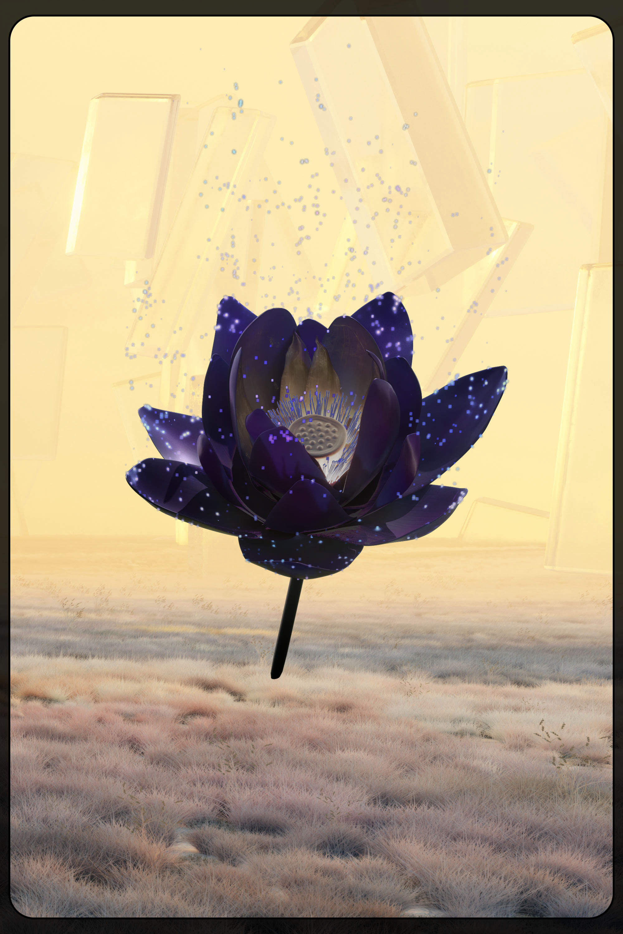 Lotus 595