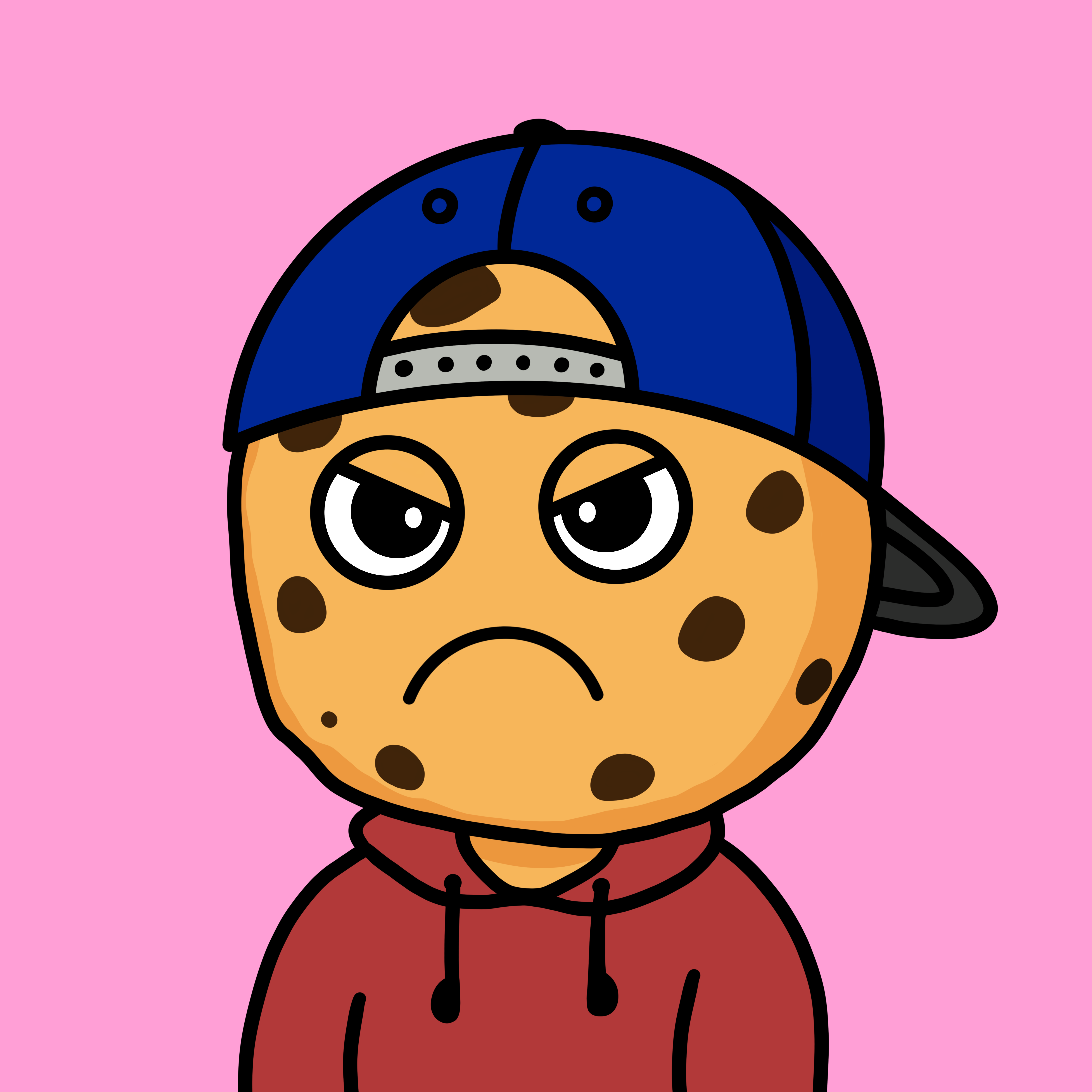 Cool Cookie #2644