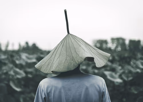Leafhead