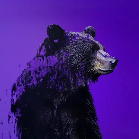 bear #3869