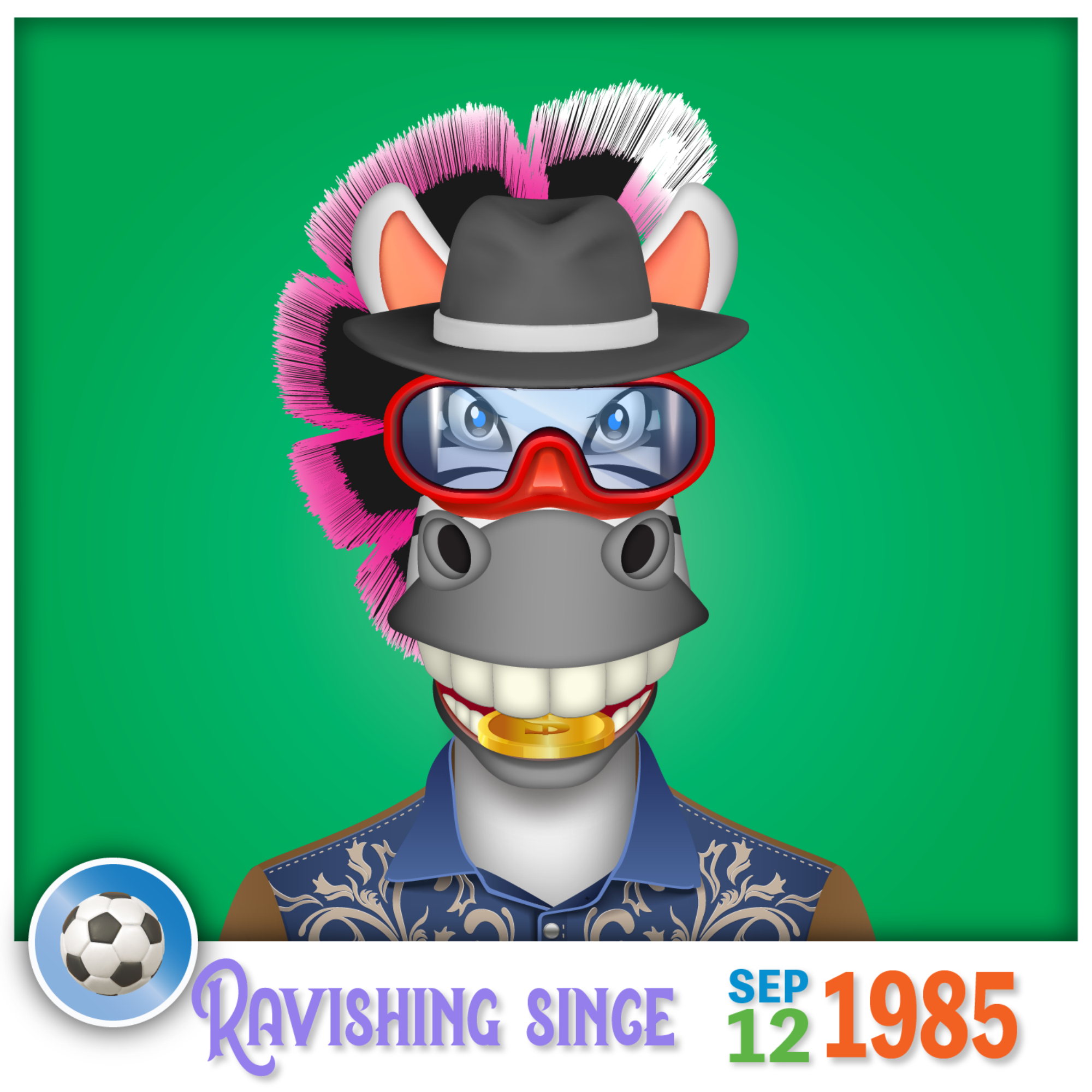 Zebra Birthday #1444
