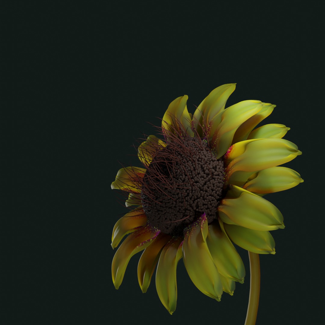 Flower #4
