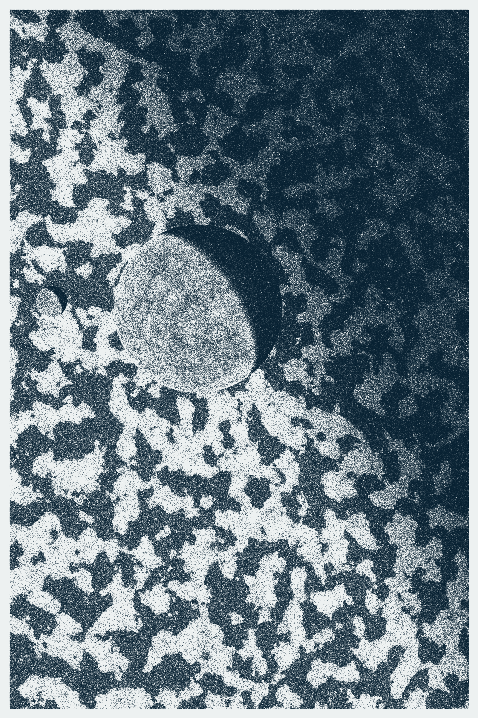 Voyager #108