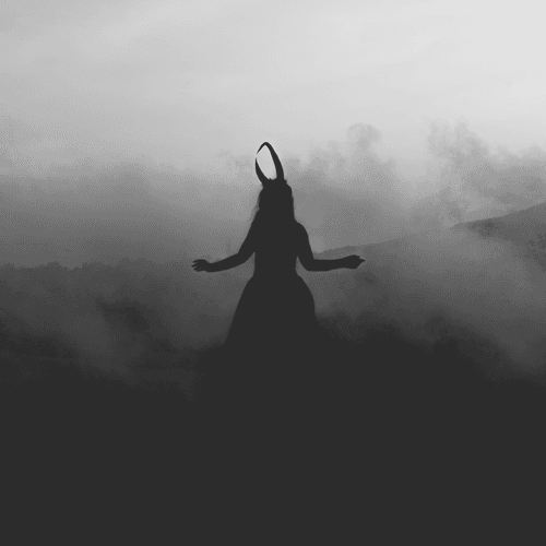 Photo #58