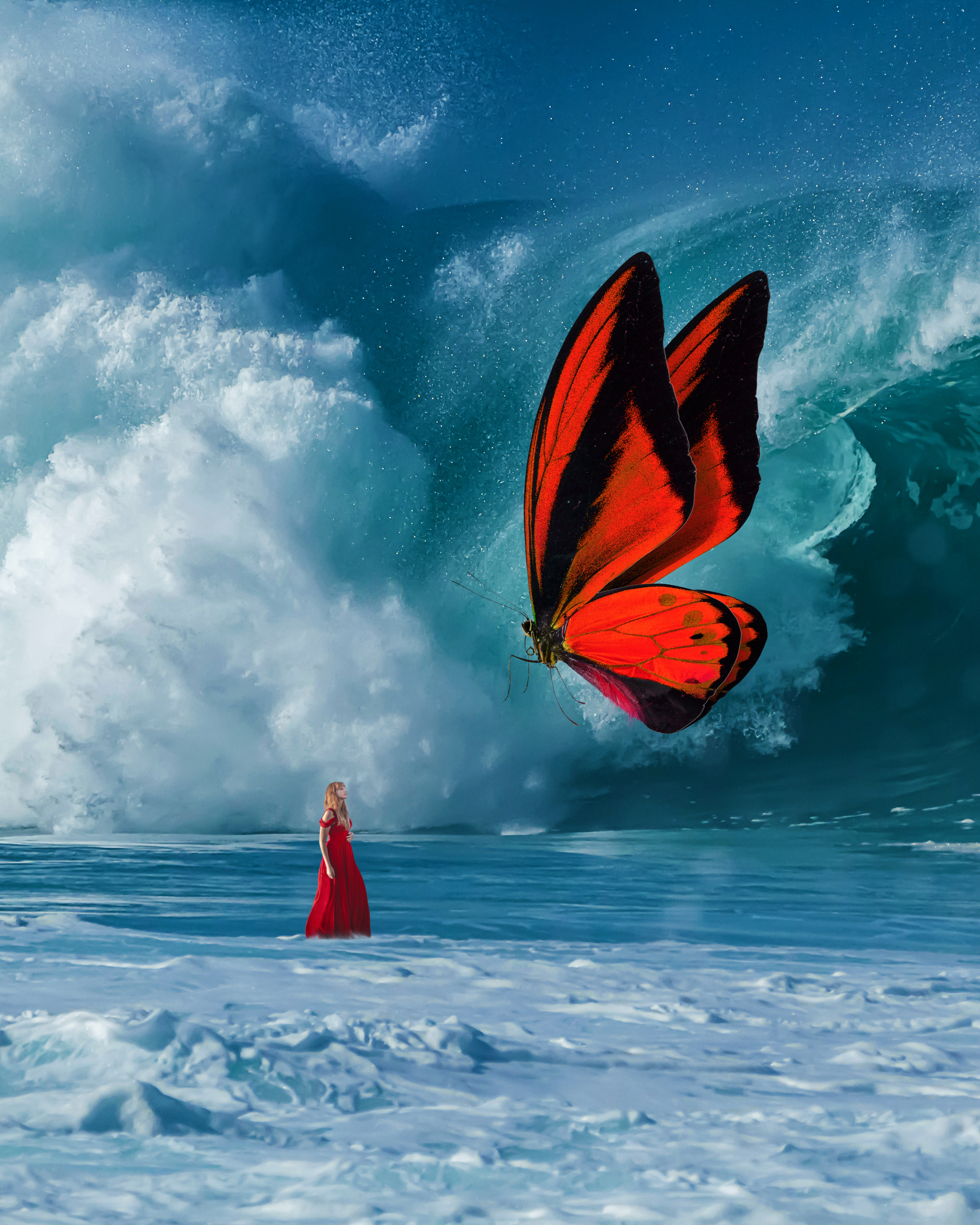 Butterfly Effect #13/20