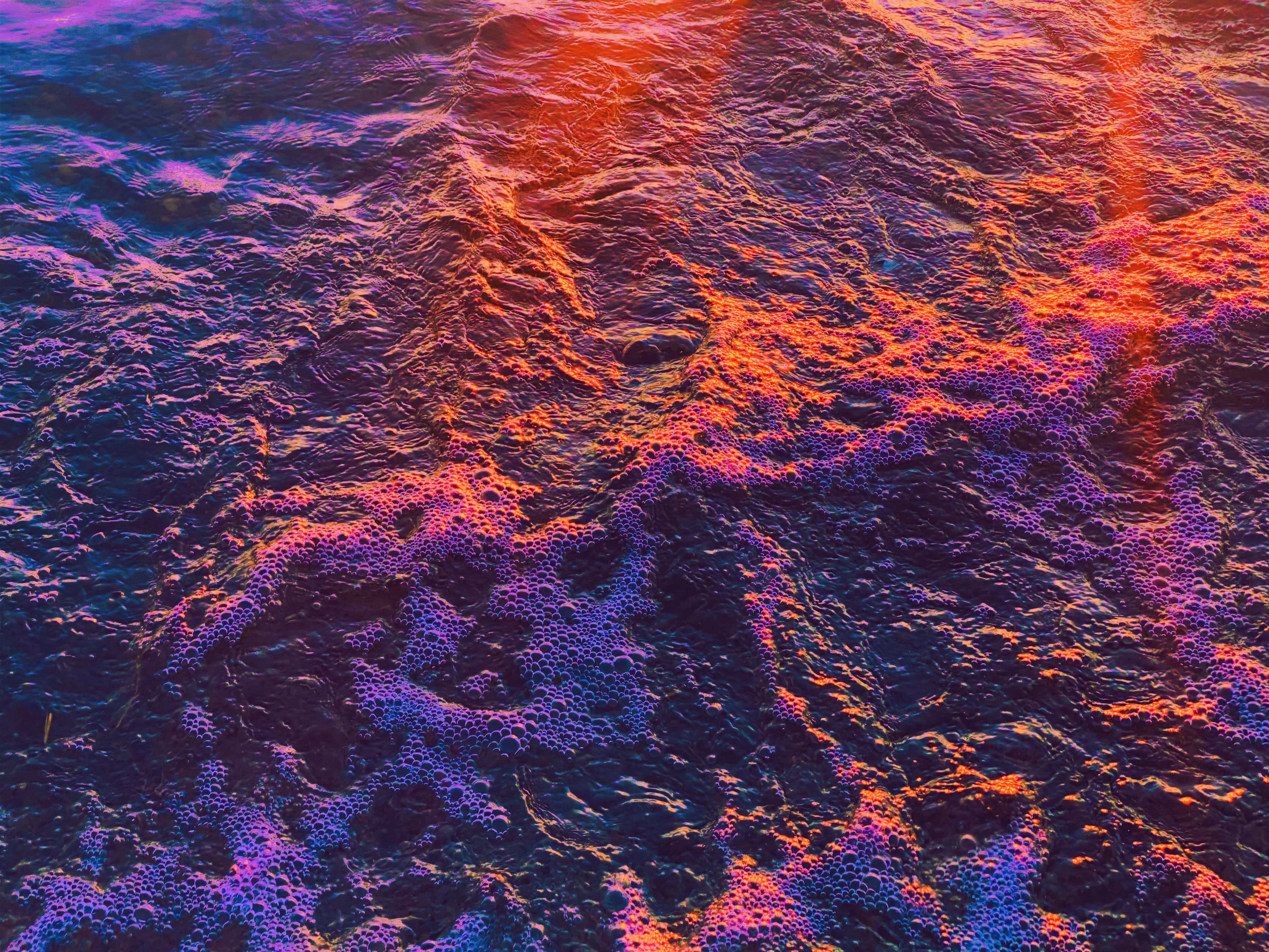 AS SEEN BY THE SEA