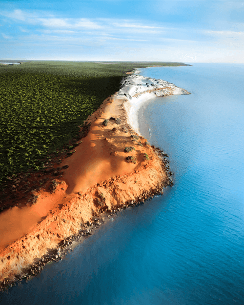 #27: Shark Bay Colours