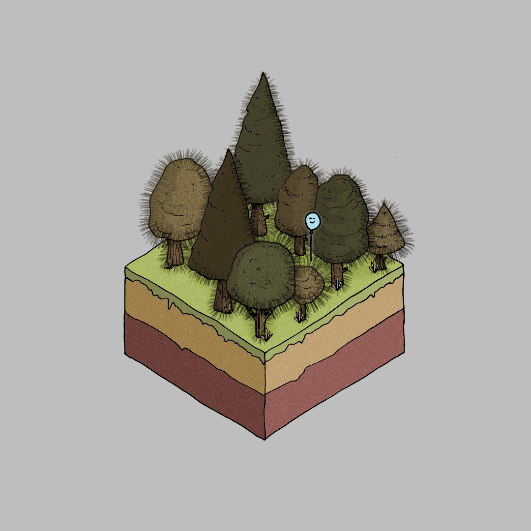 Spyke Grove