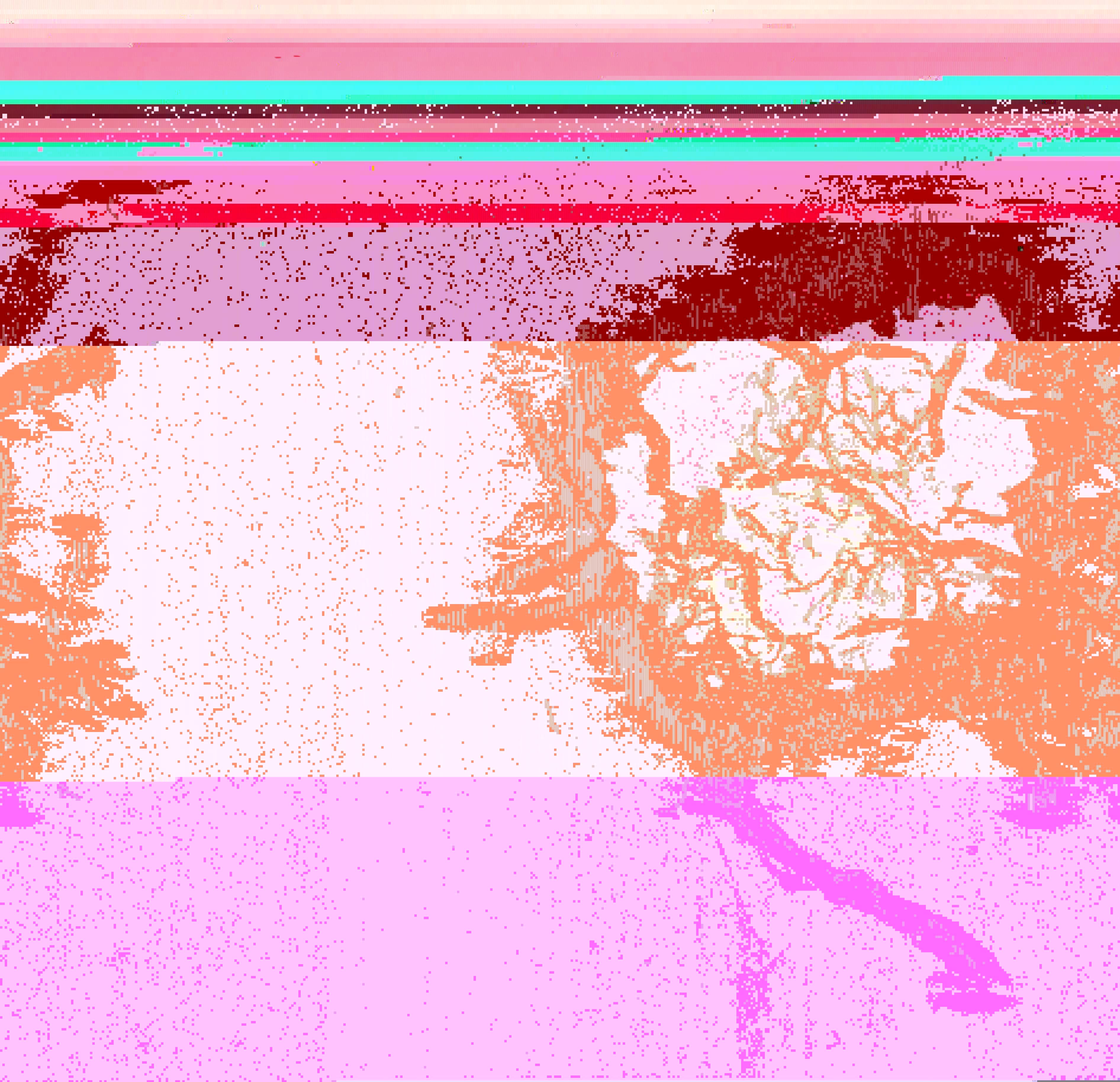 Blorgg Honklorph Malfonxia m[4]