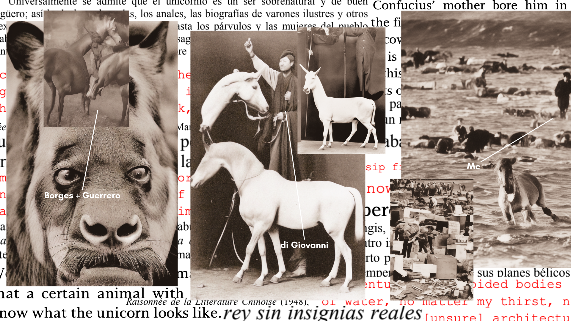 The Chinese Unicorn: Collage