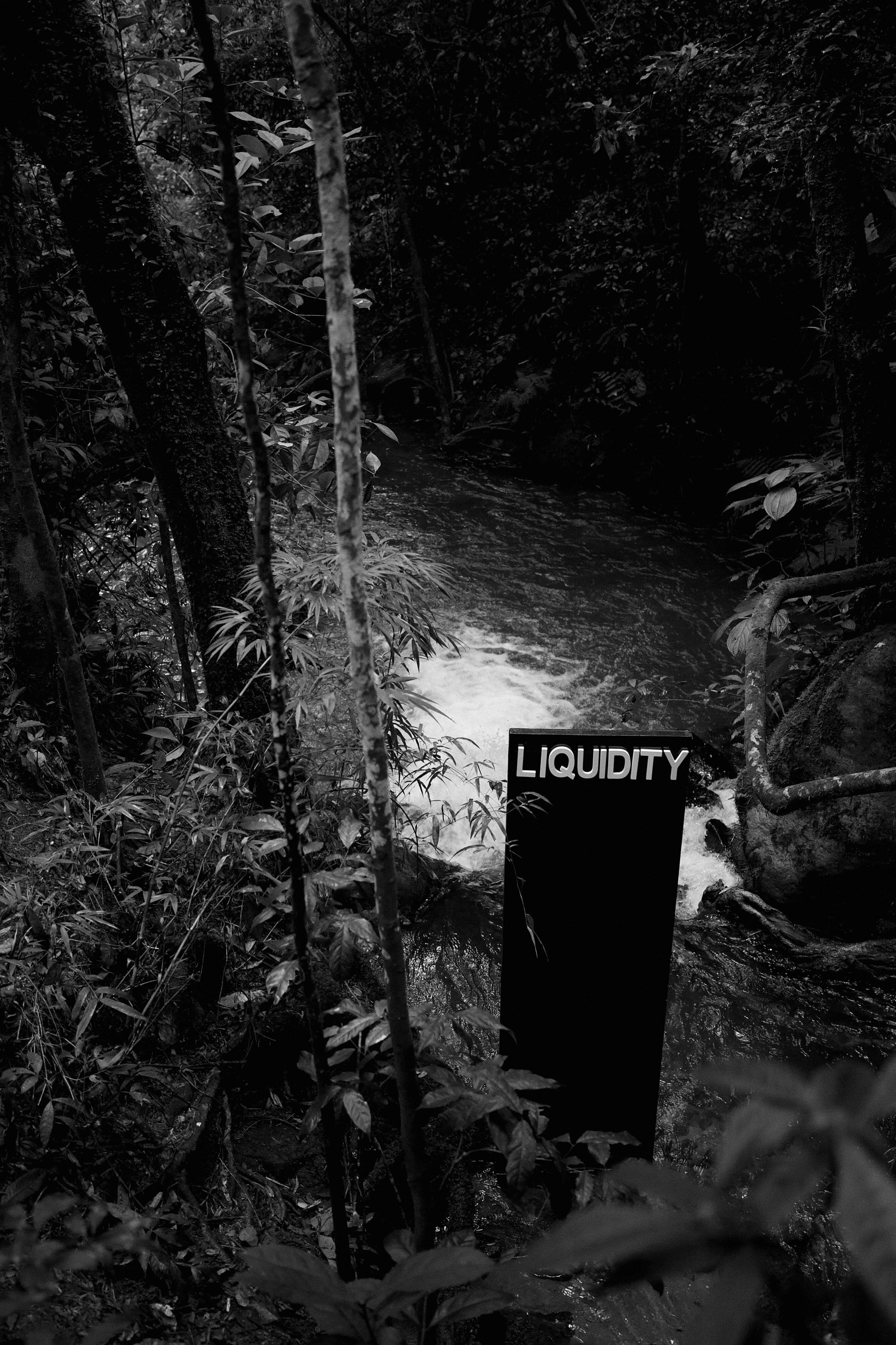 LIQUIDITY