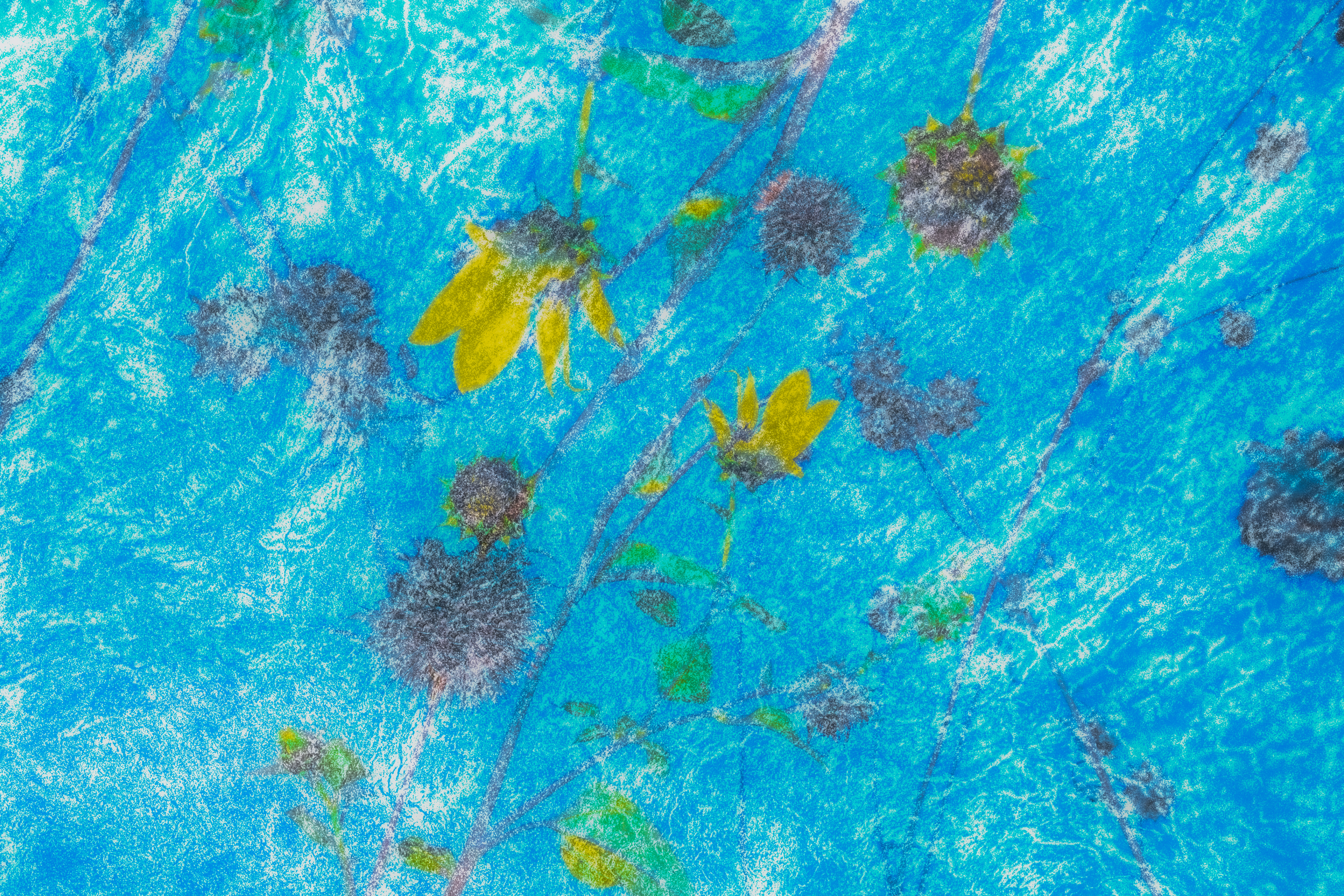 Cerulean Dreams
