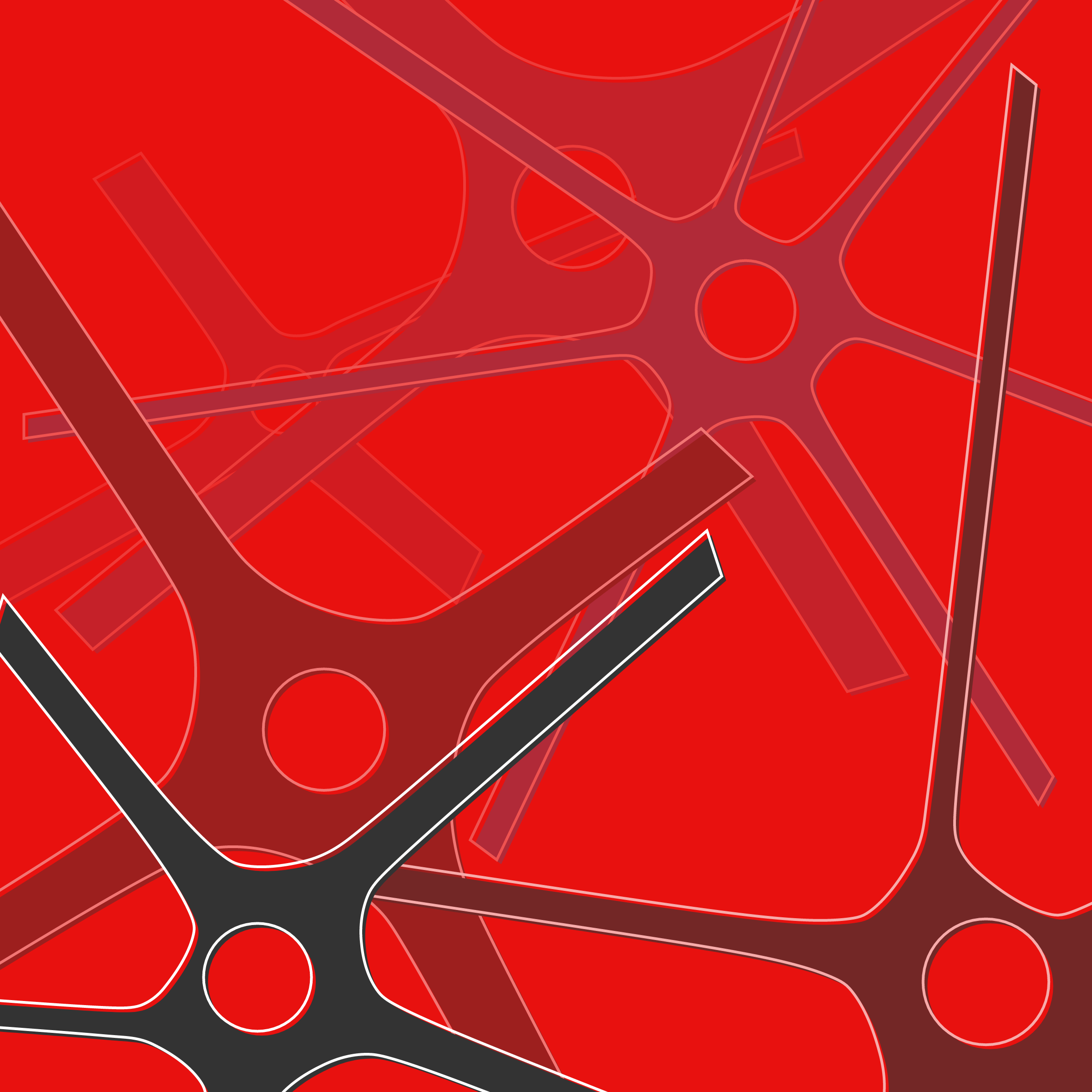 Cells #1
