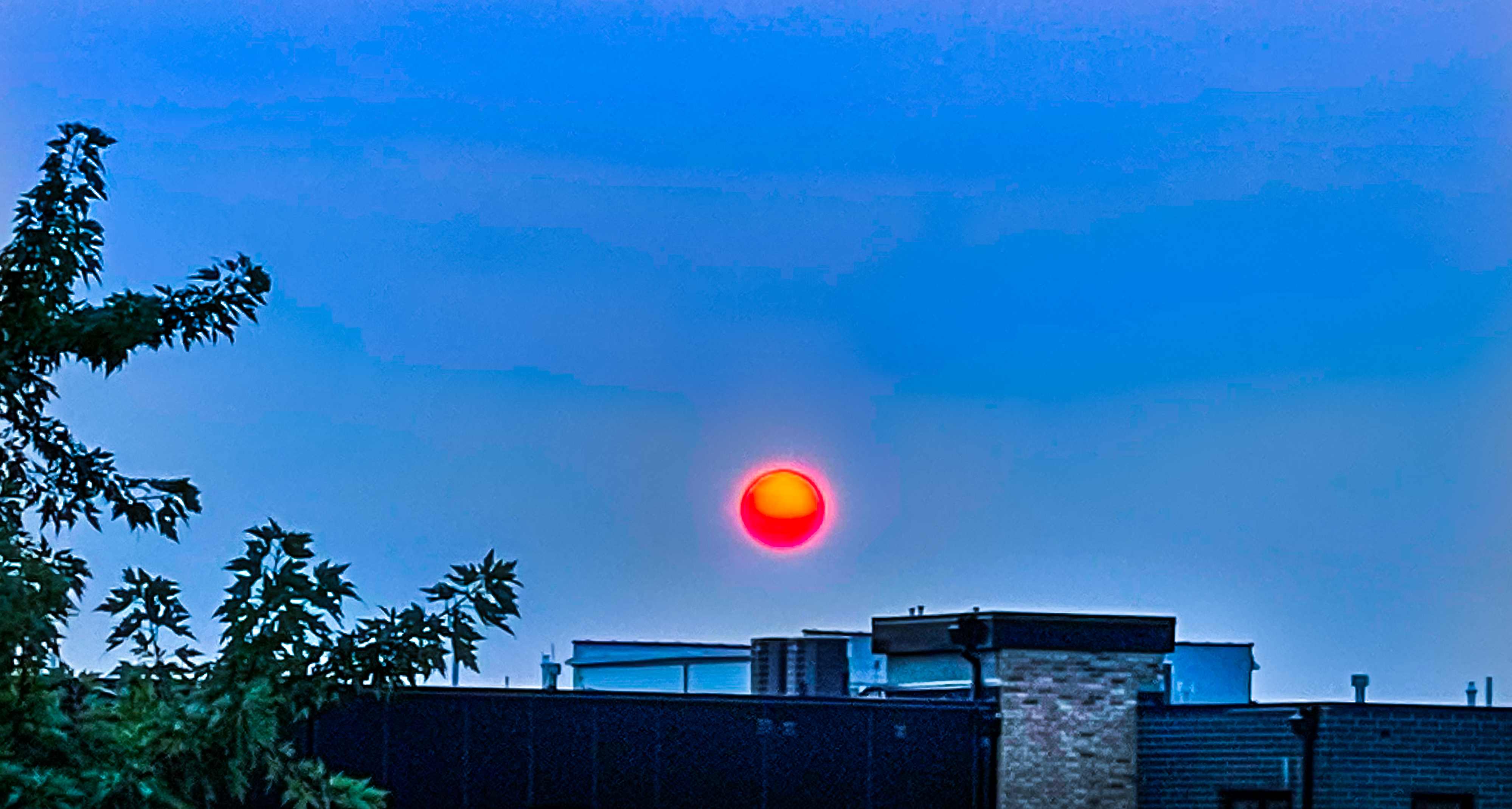 The Blazing Wildfire Sun 