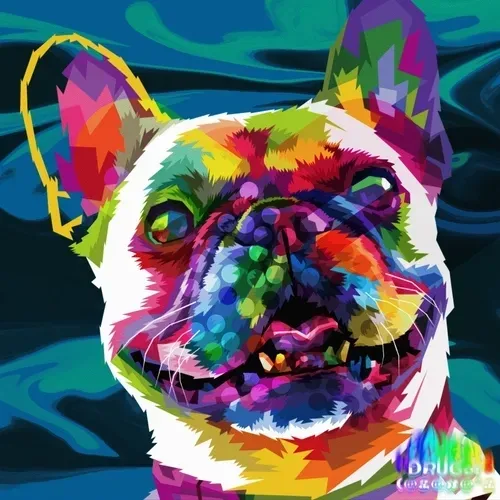 French bulldog drug #2