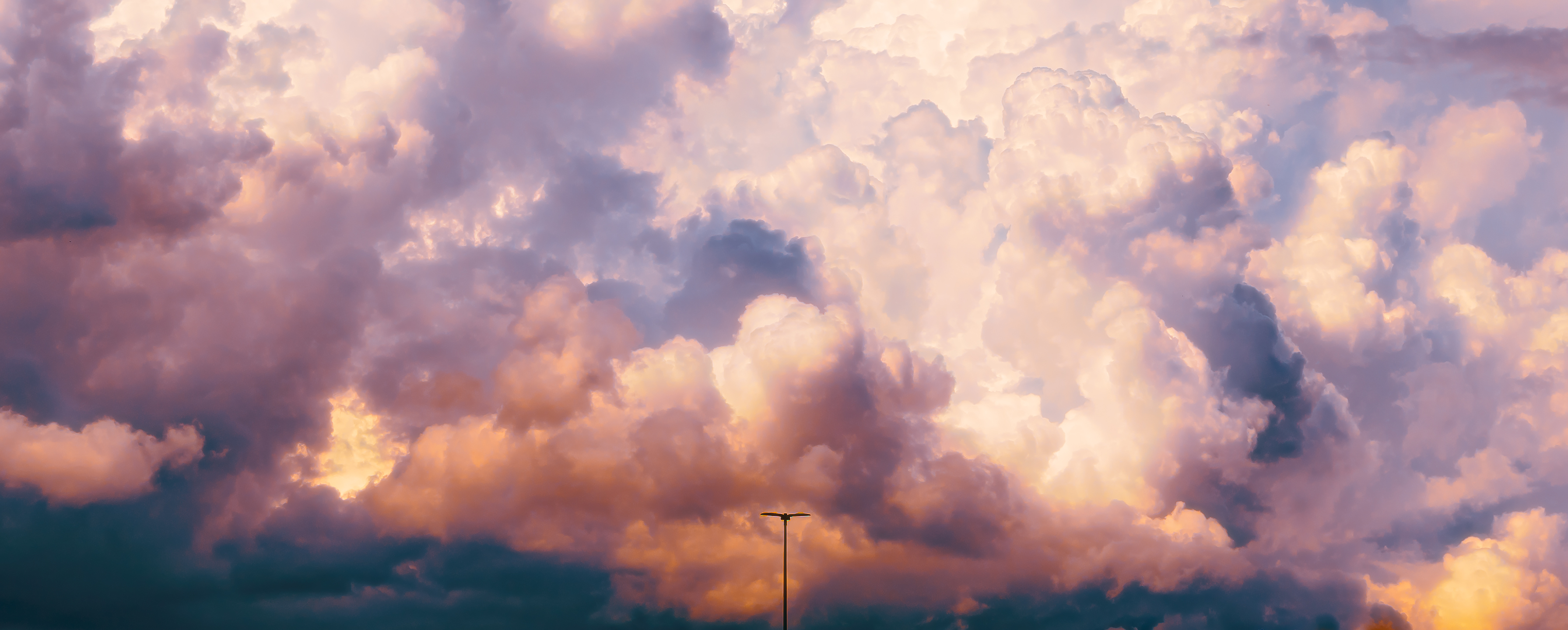 The Storm