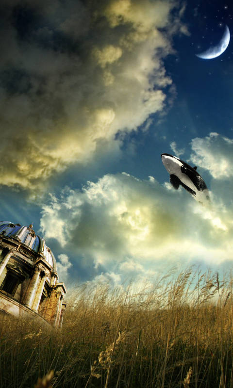 sky