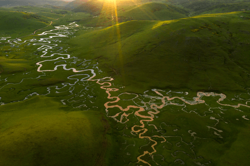 Paradise of Meanders