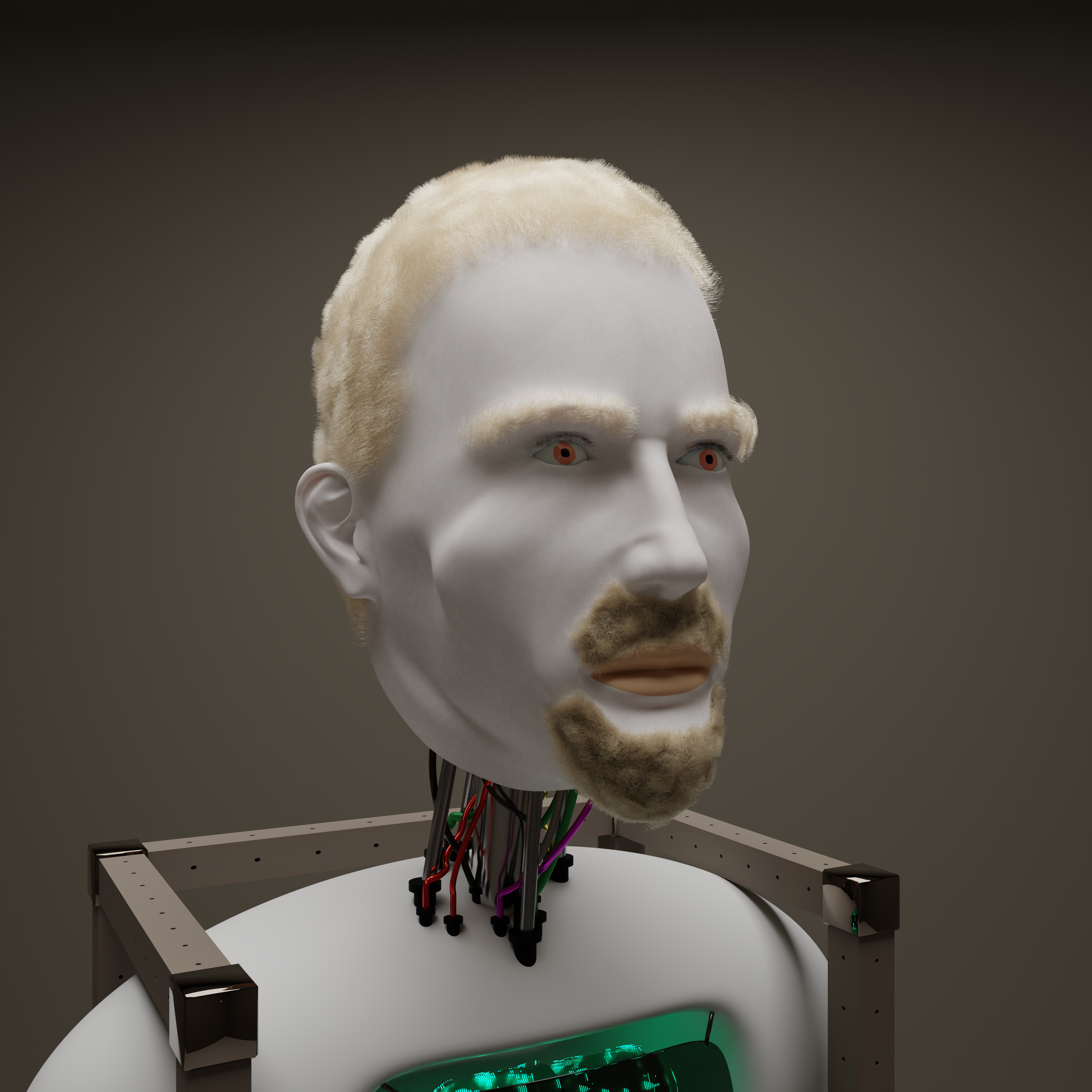 FACE #6