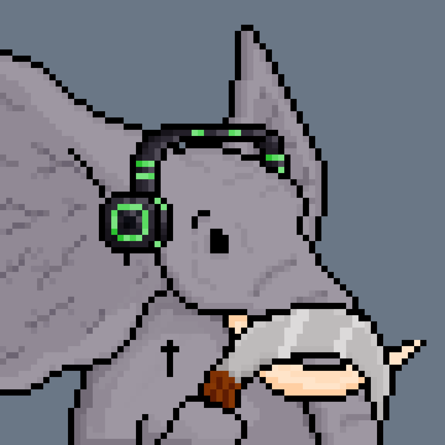 AMINALS #2602