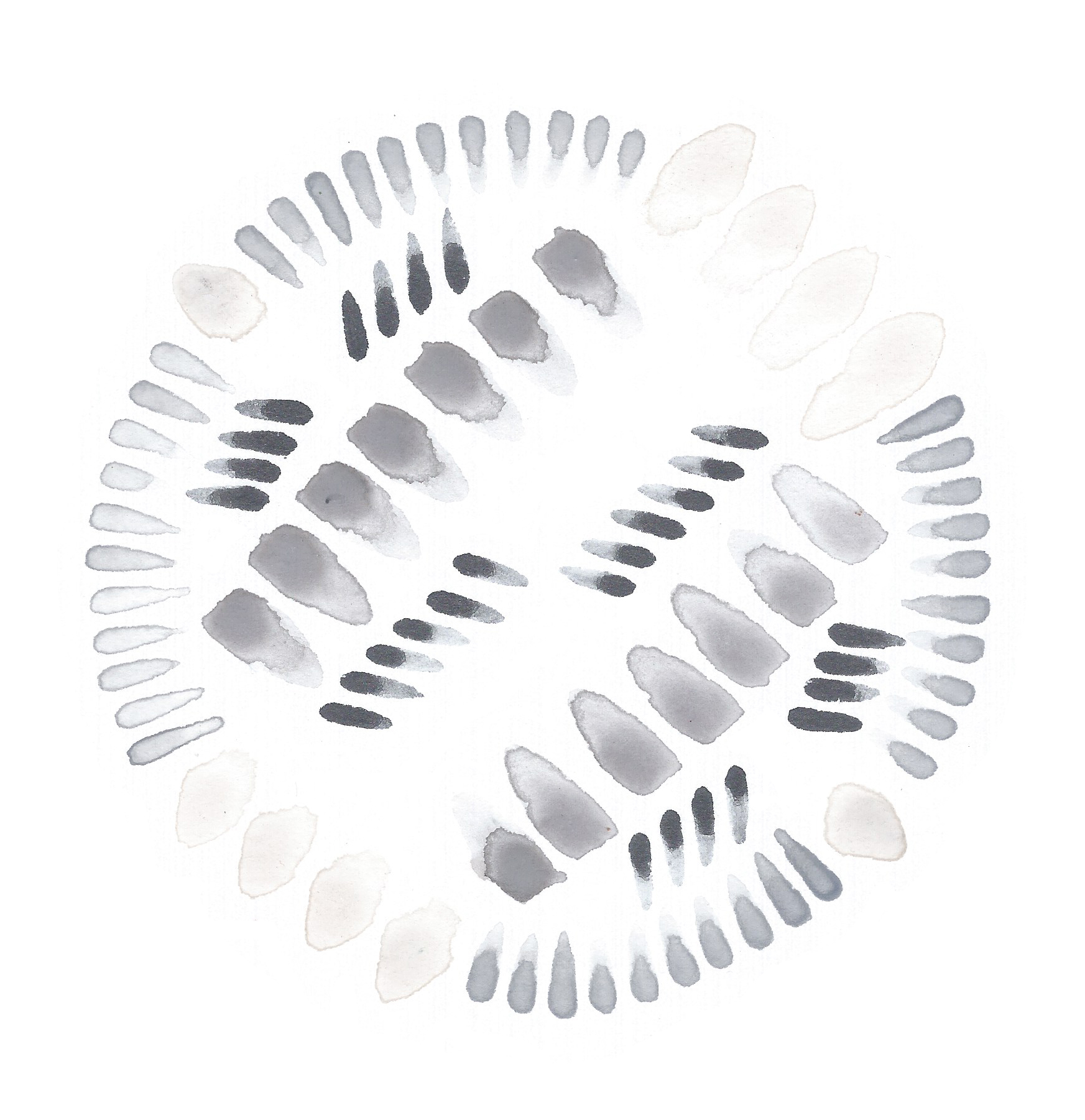 ALLOWING | METAMORPHA COLLECTION