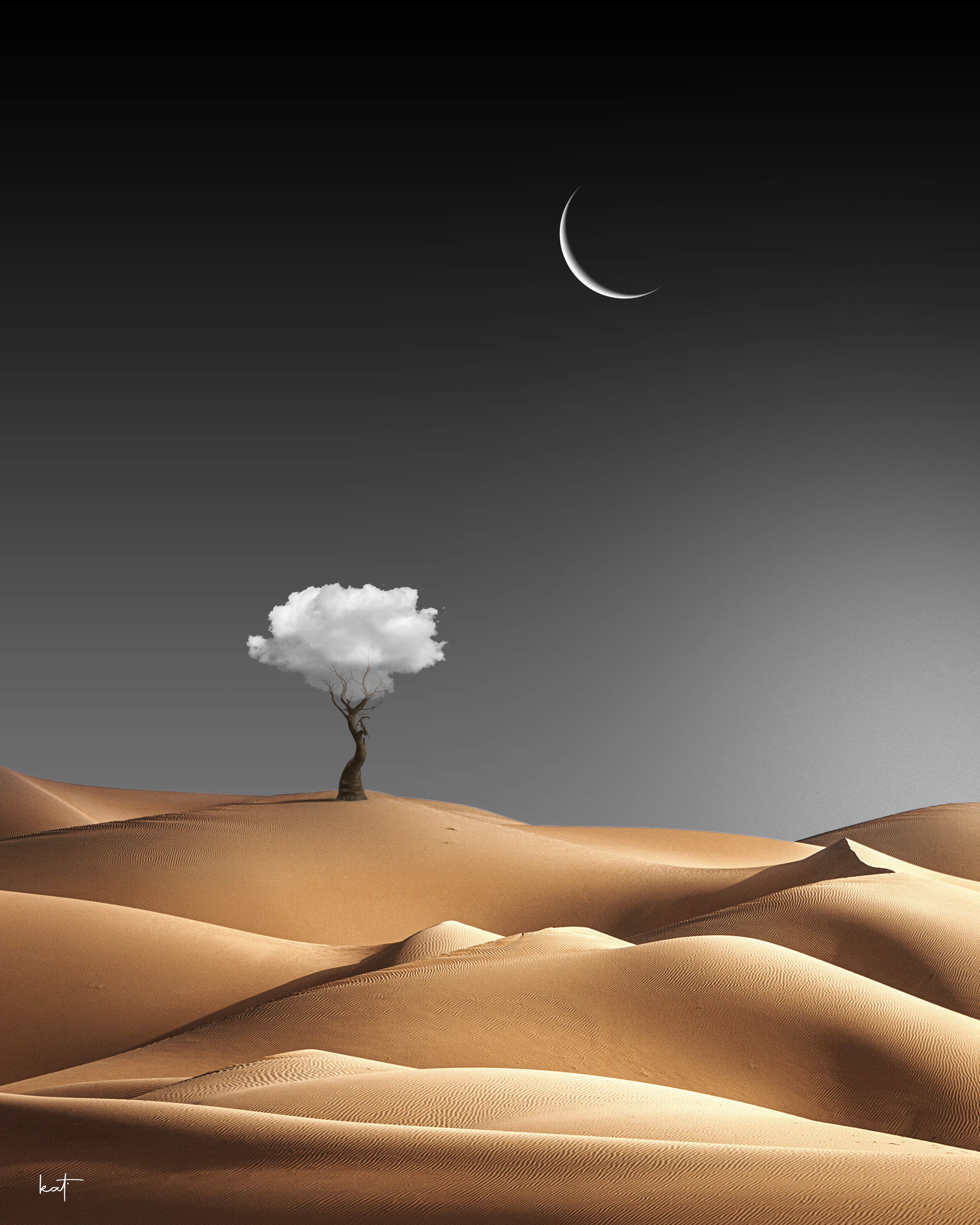 FANTASY PLANET
