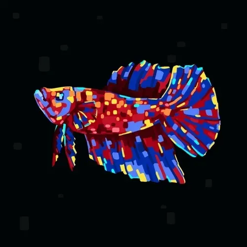 BETTA FISH 