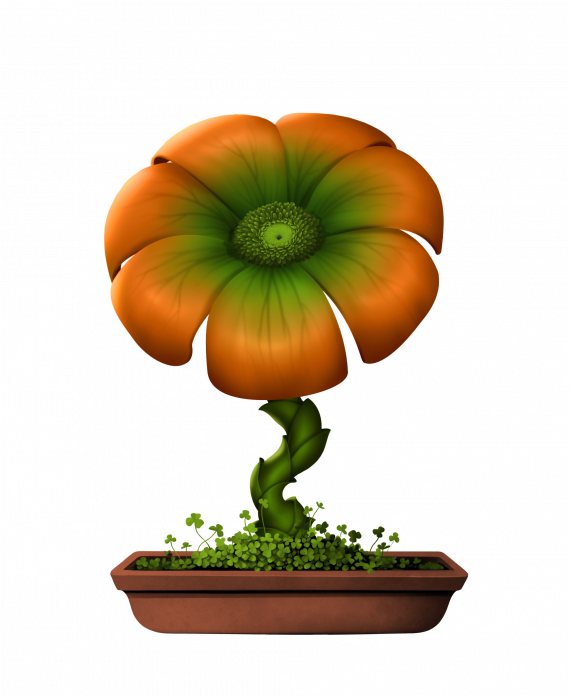 Peach #13247