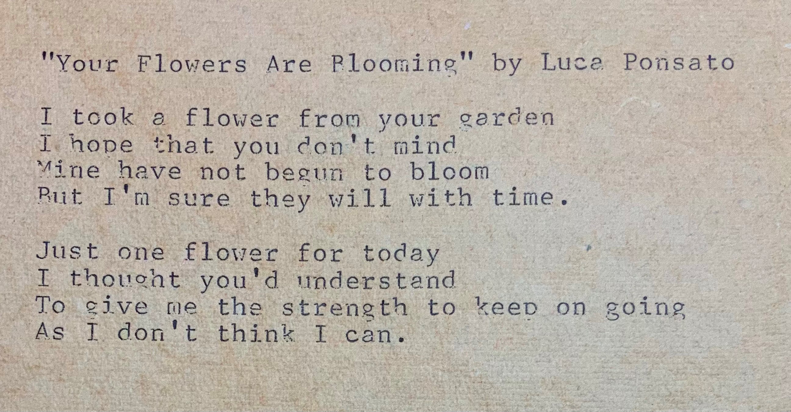 Your Flowers Are Blooming