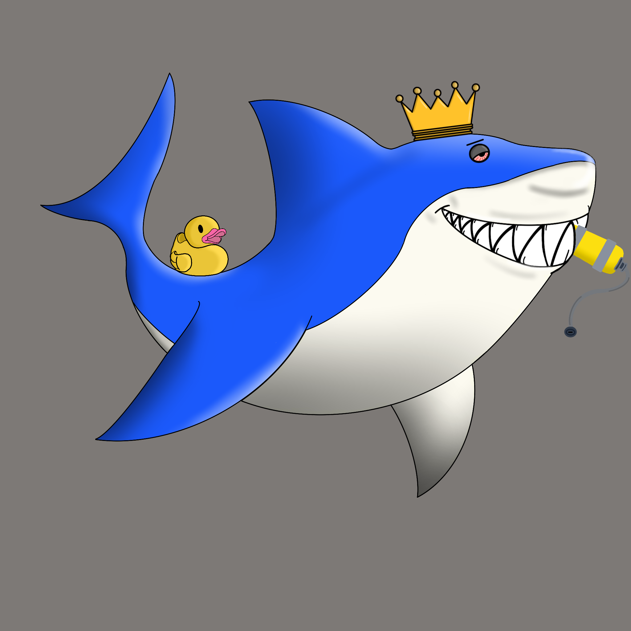 Wavy Shark #1848