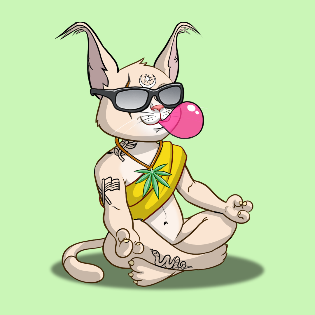 Karma Cat #5162