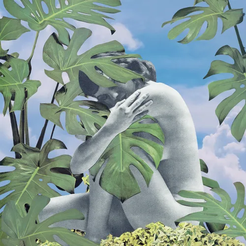 Plant Life