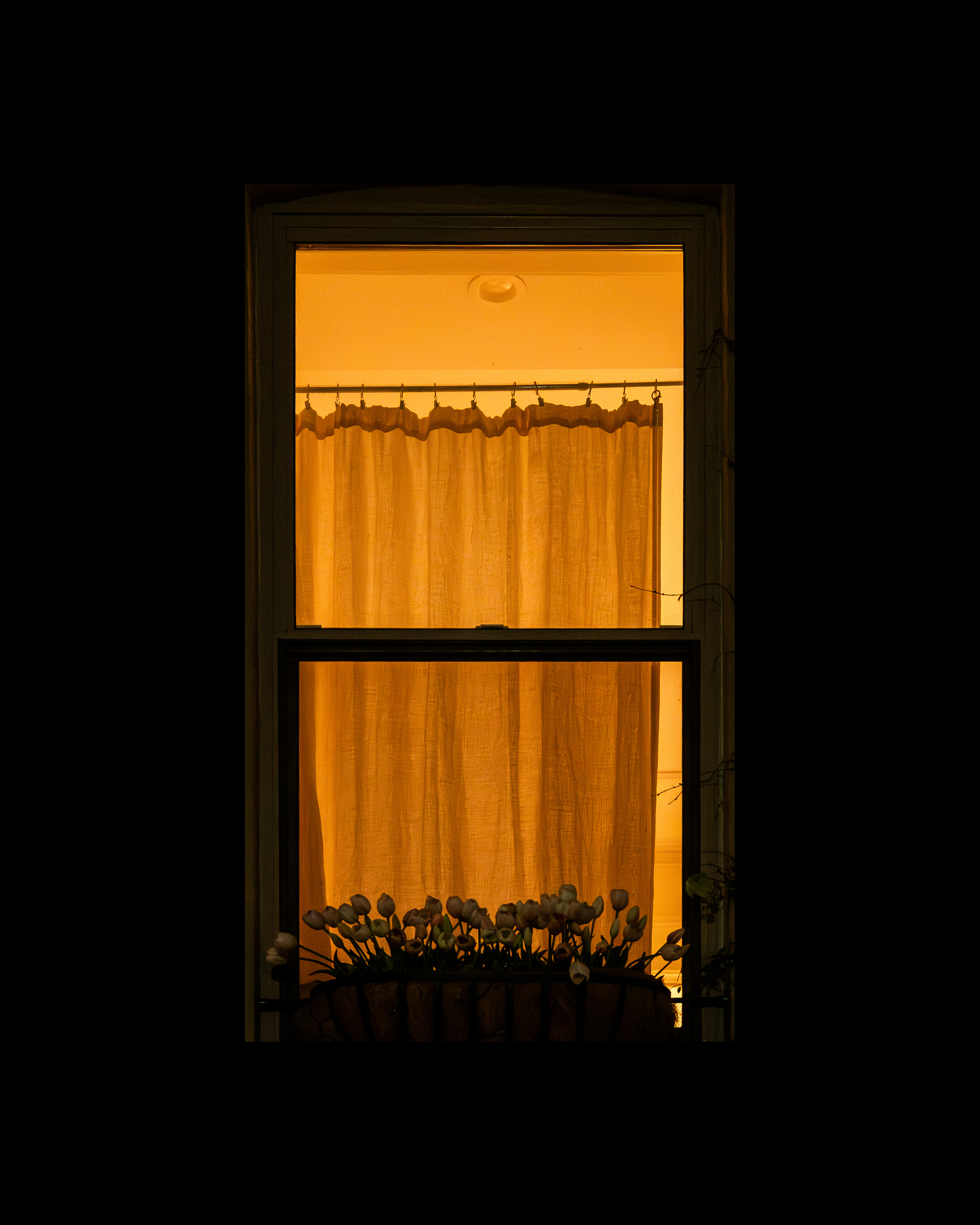 WINDOW 632