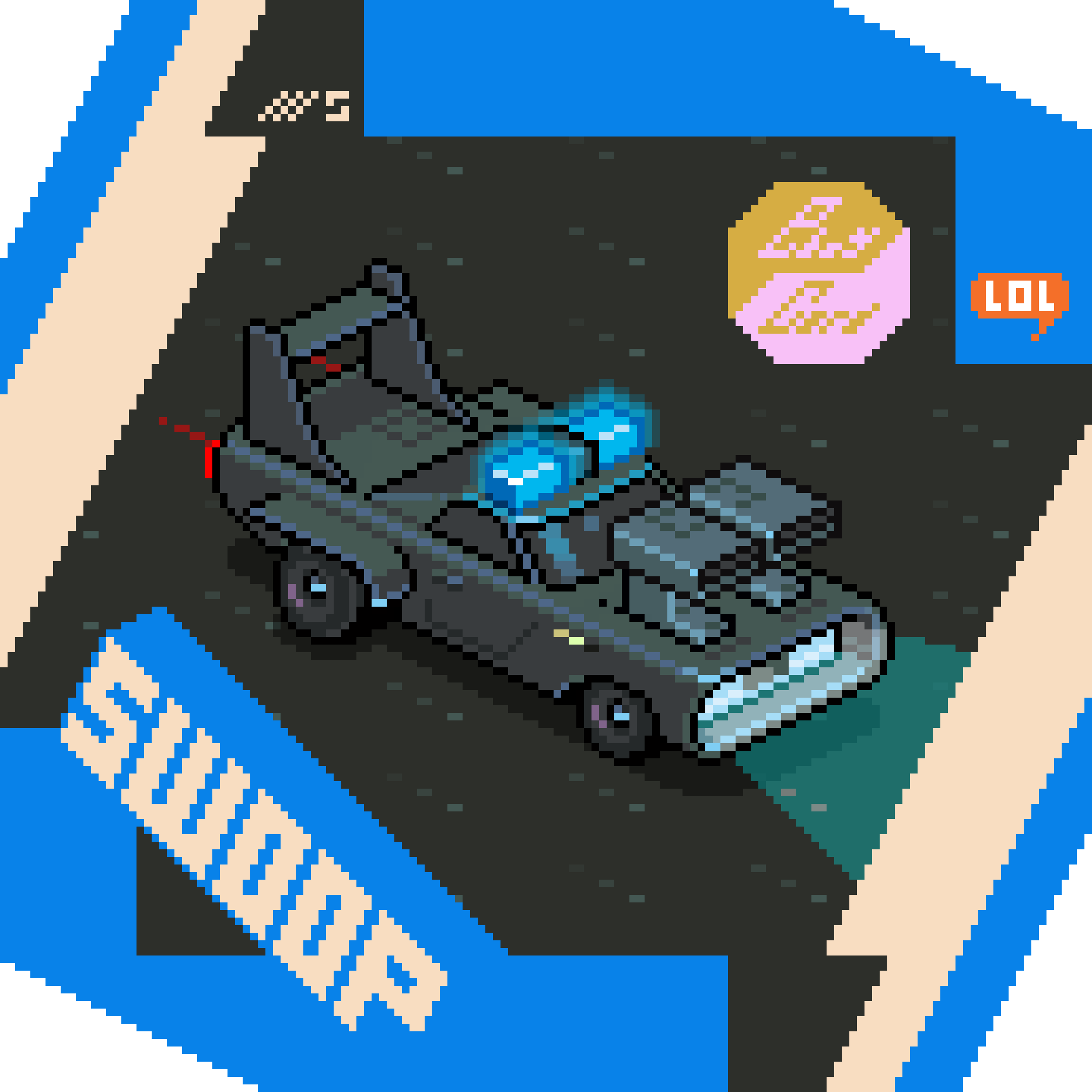 SWP /5