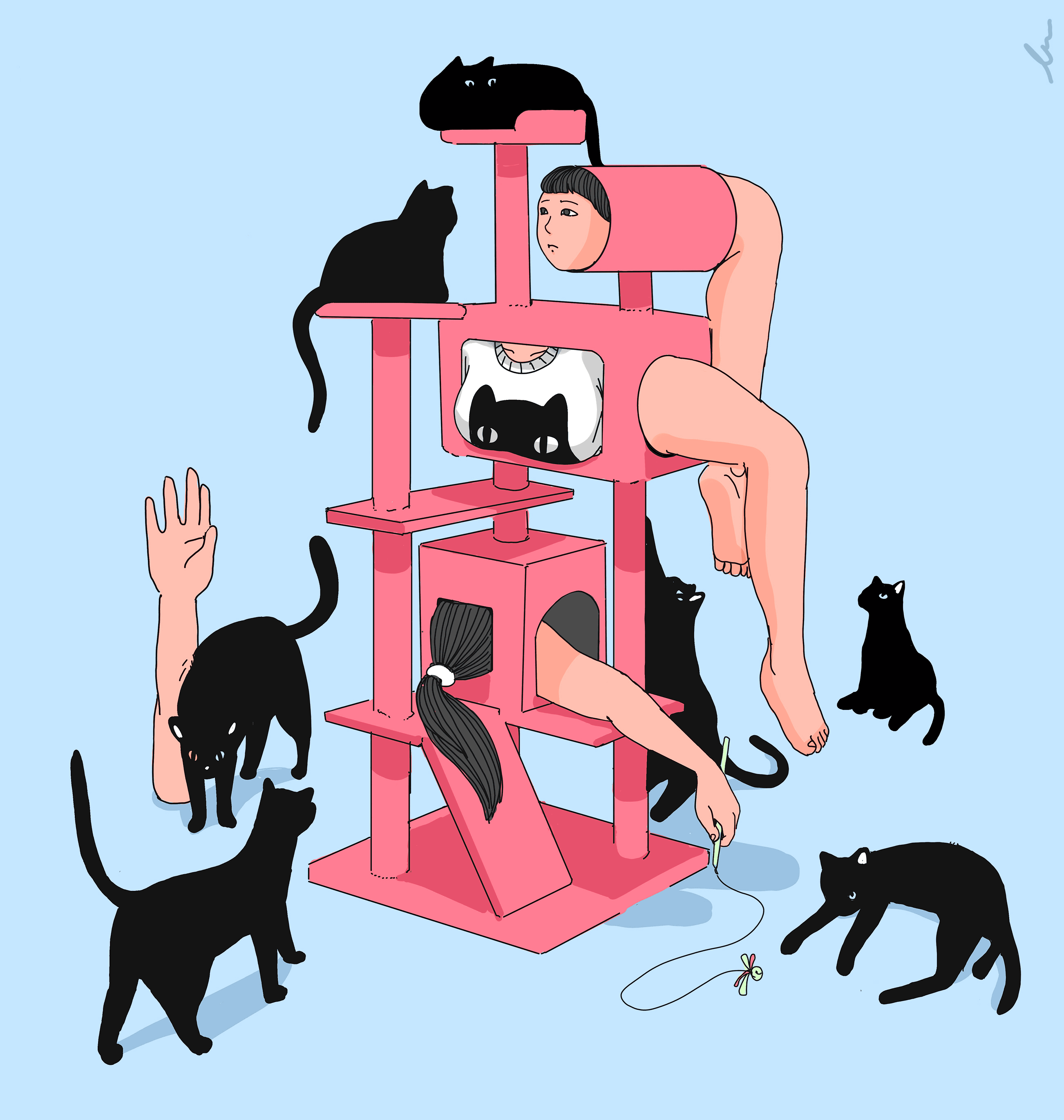 Black Cats