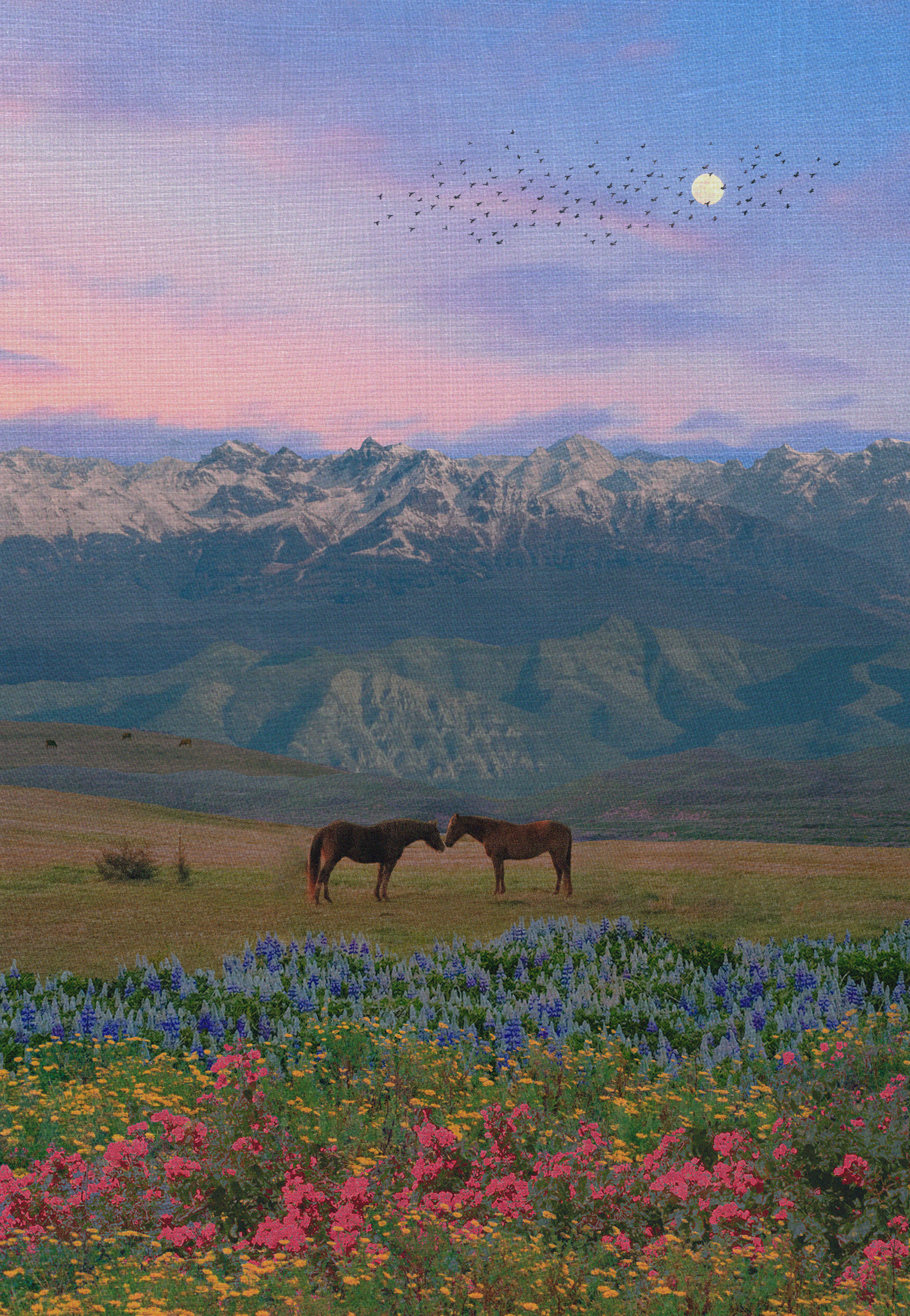 A Quiet Encounter