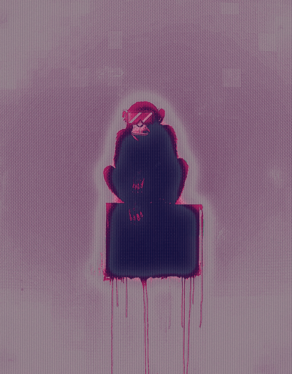 monkeys14
