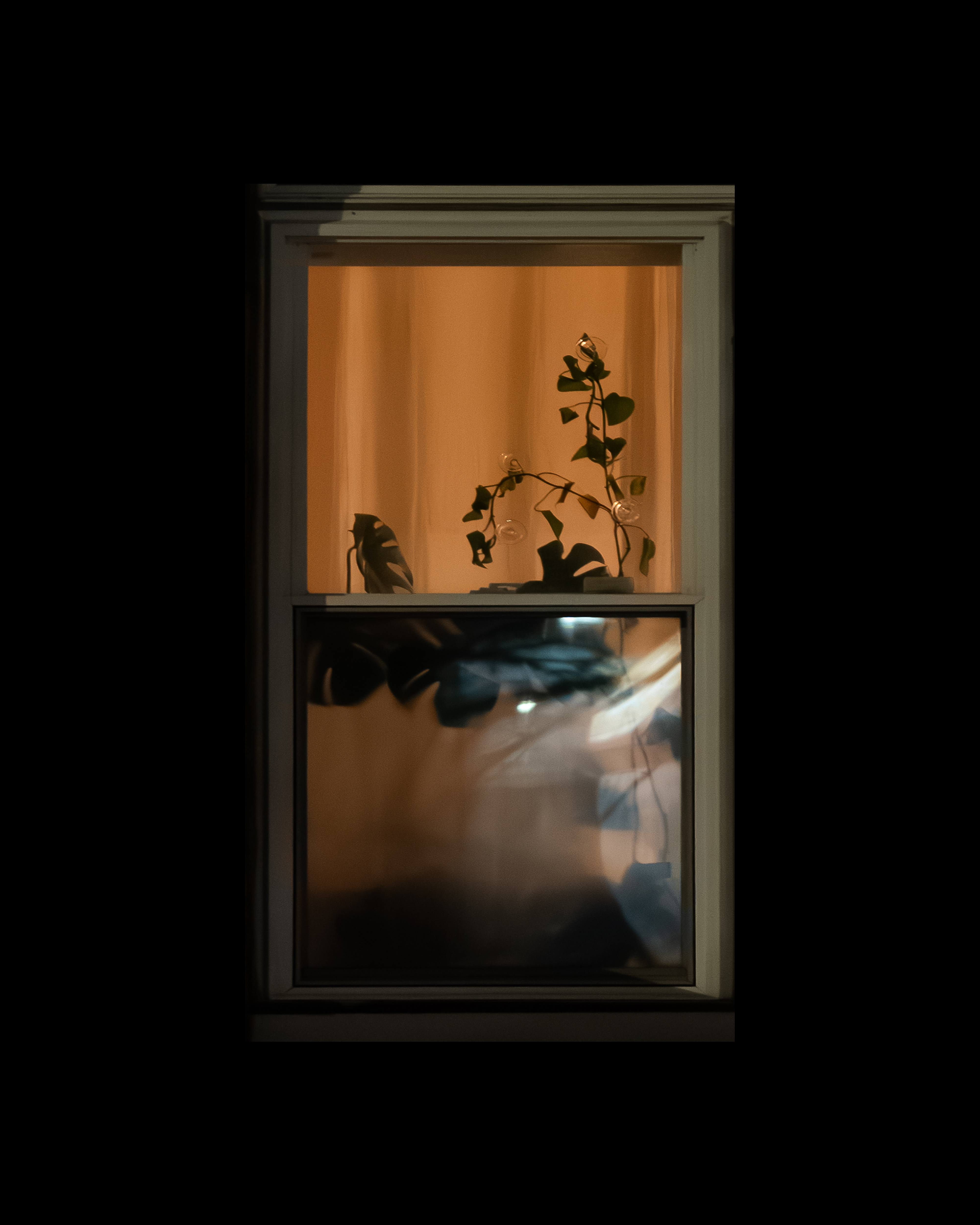 WINDOW 227