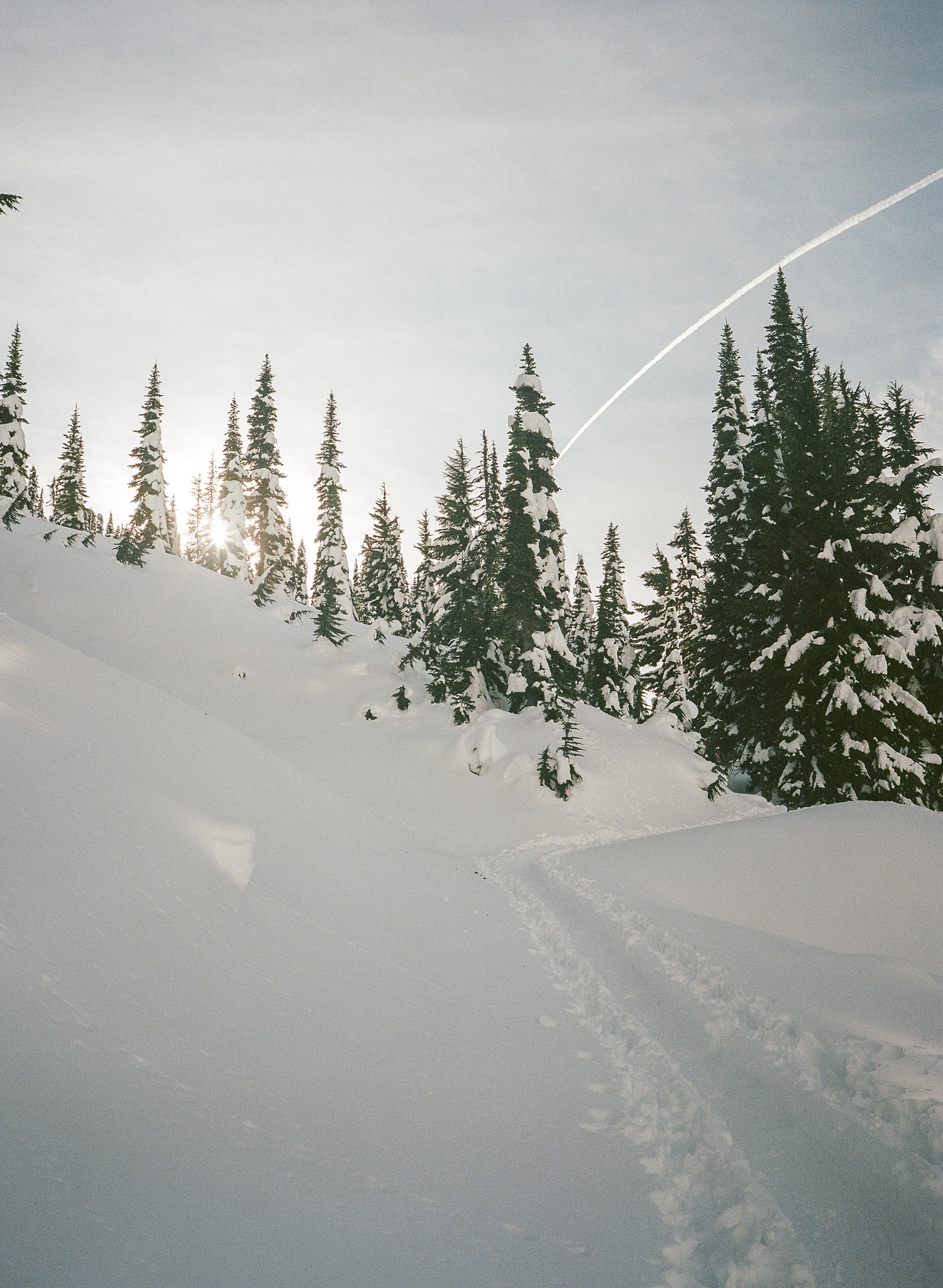 Snow Day