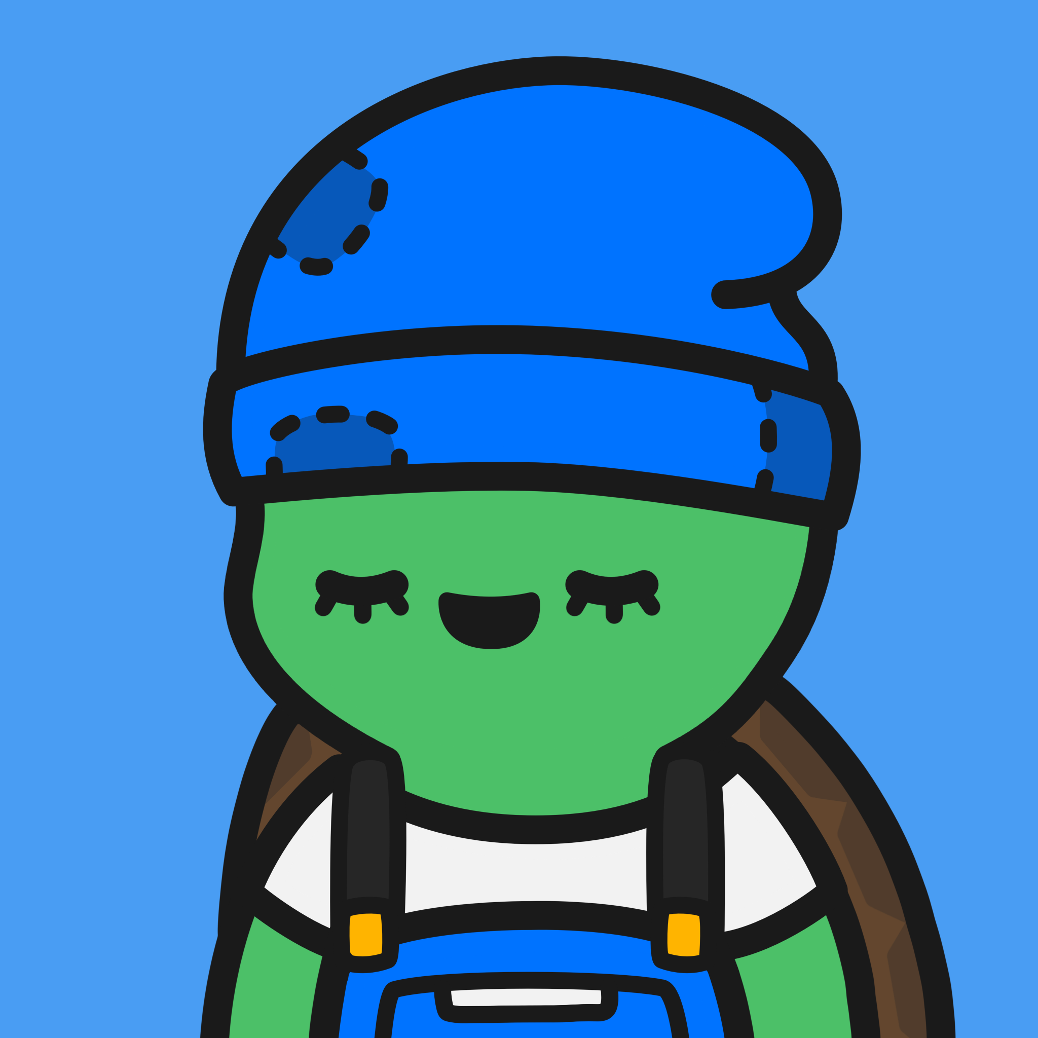 Turtle Town #4642