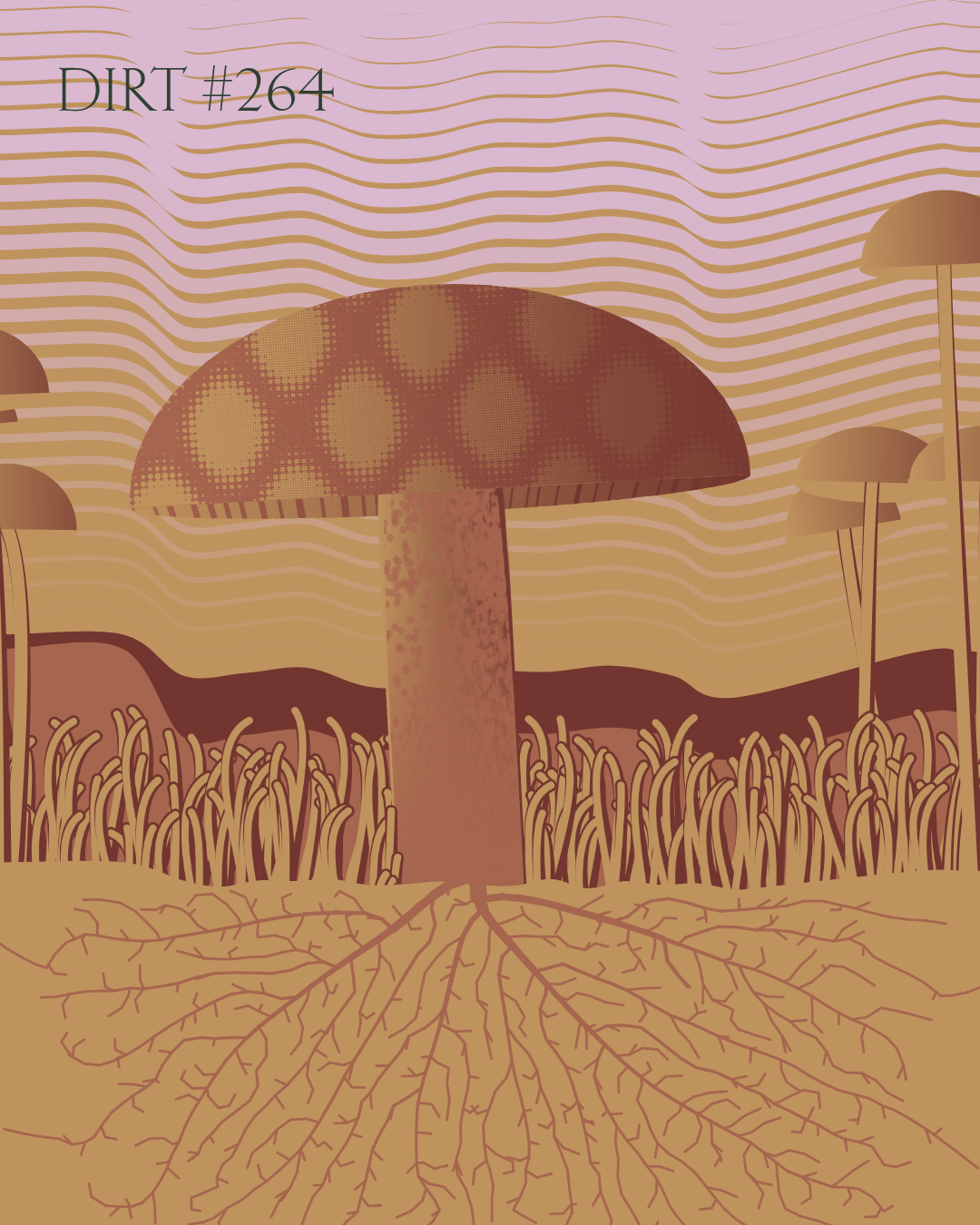 Dirt Founder #264