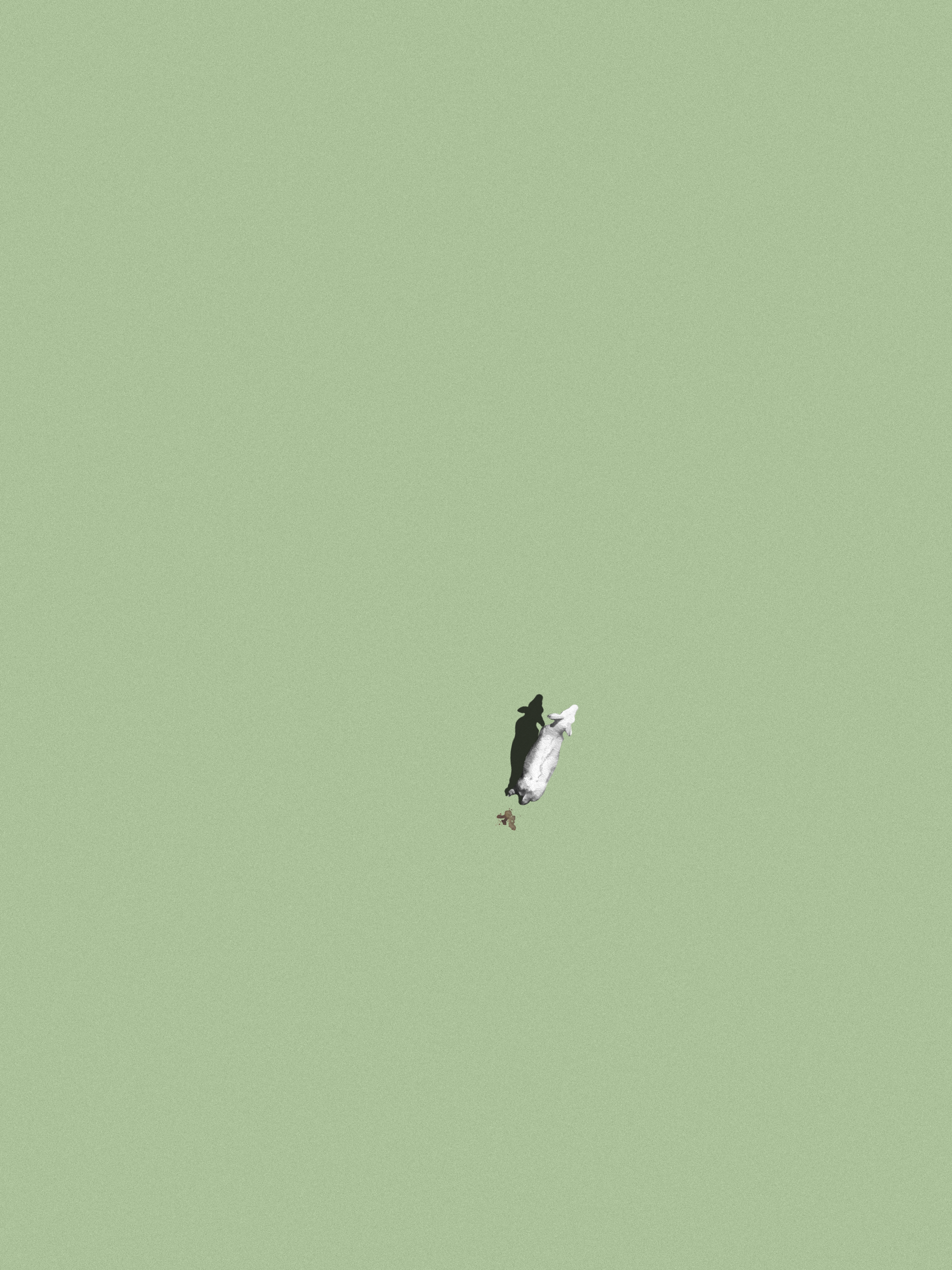 Sheep Shit #19/30