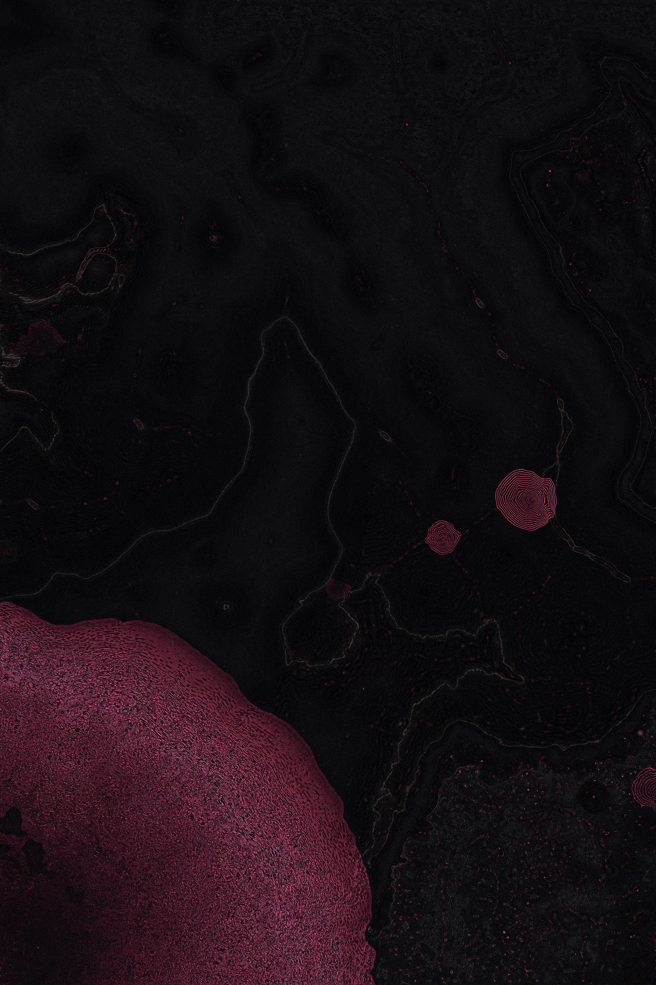 Dactylogram #93