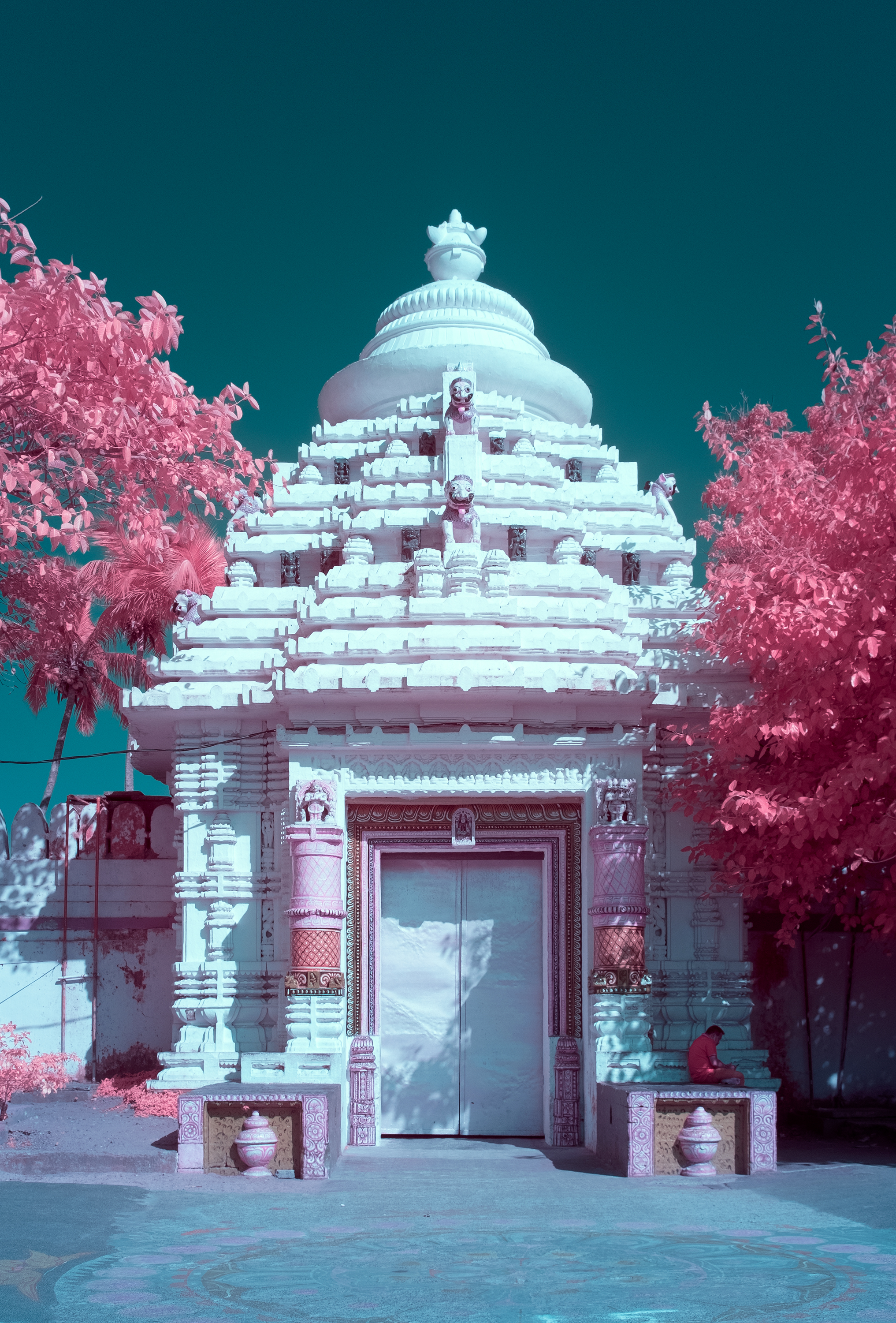 PHOTOPIA 2022 #8018
