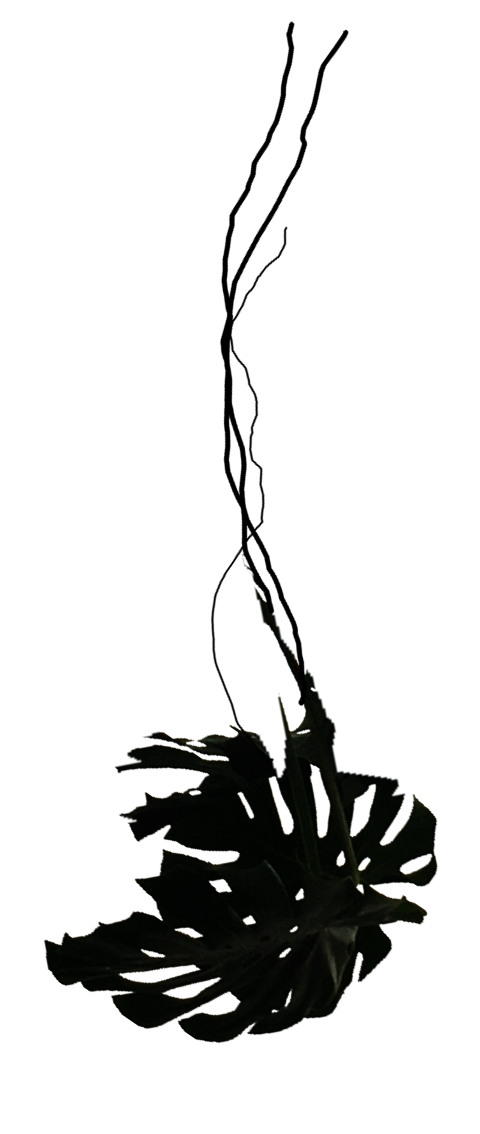 Topic's shadow