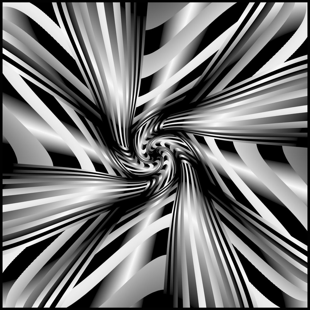 Zebra 2-a2