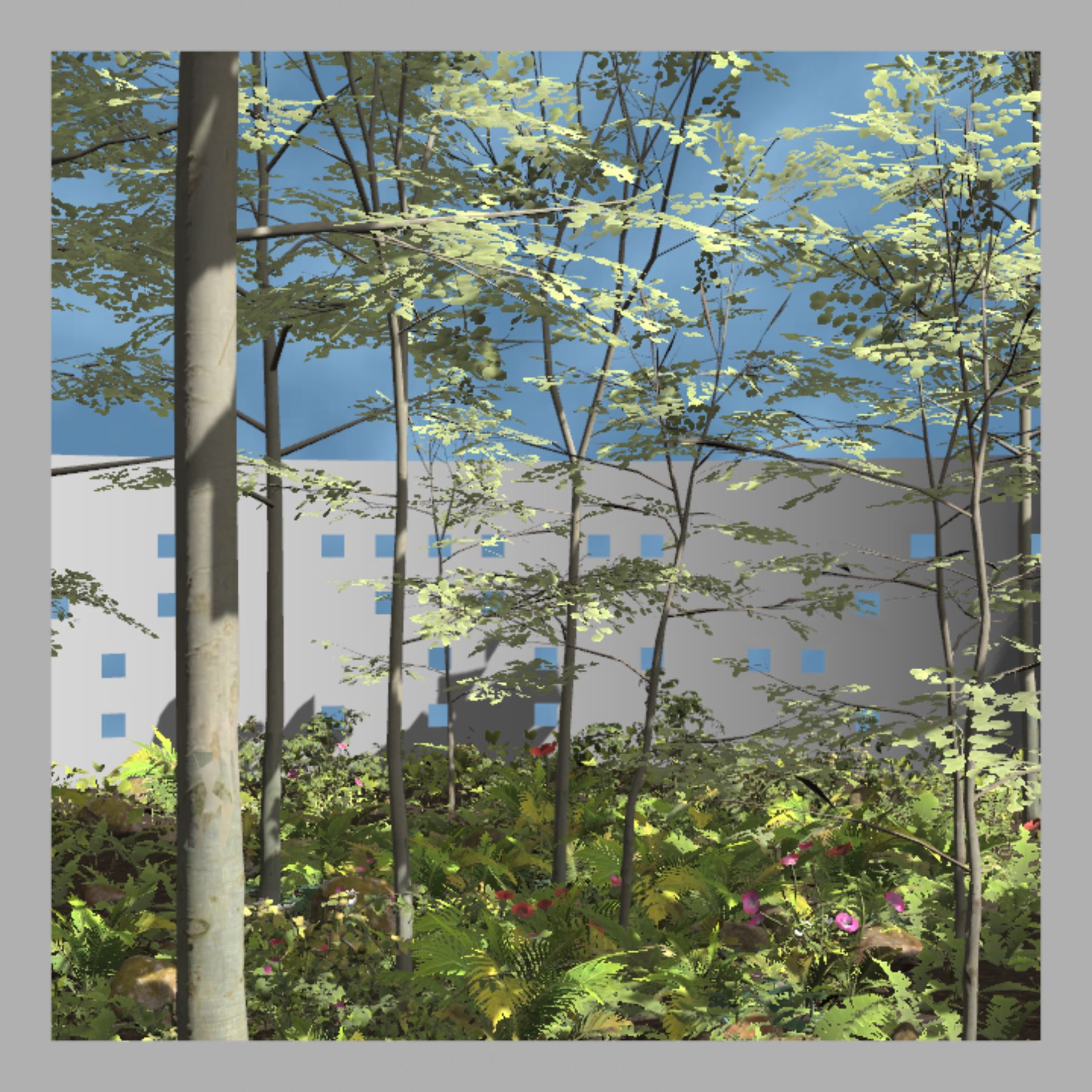 Fragment